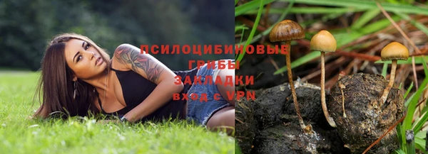 винт Нязепетровск